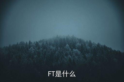 什么是FT調(diào)查，F(xiàn)T是什么