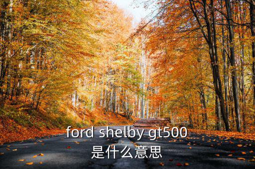 東盟油500是什么，ford shelby gt500是什么意思