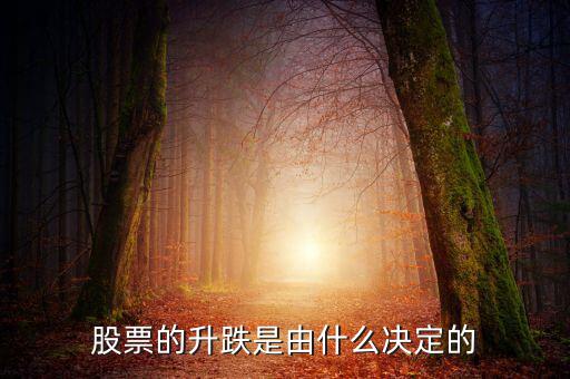 股票根據(jù)什么跌升，股票的升跌是由什么決定的