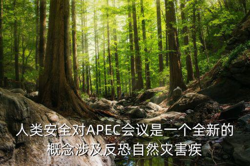 2014apec峰會(huì)簽署了什么文件，亞洲和太平洋地區(qū)經(jīng)濟(jì)合作會(huì)議簡(jiǎn)稱 APEC