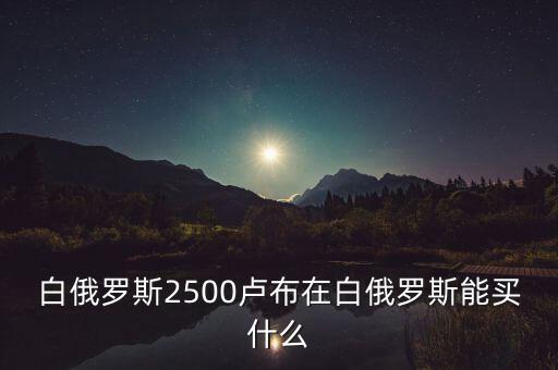 白俄羅斯盧布50可以買什么，白俄羅斯2500盧布在白俄羅斯能買什么