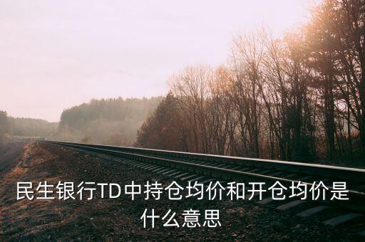 民生銀行TD中持倉(cāng)均價(jià)和開倉(cāng)均價(jià)是什么意思