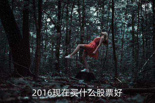 2016現(xiàn)在買(mǎi)什么股票好