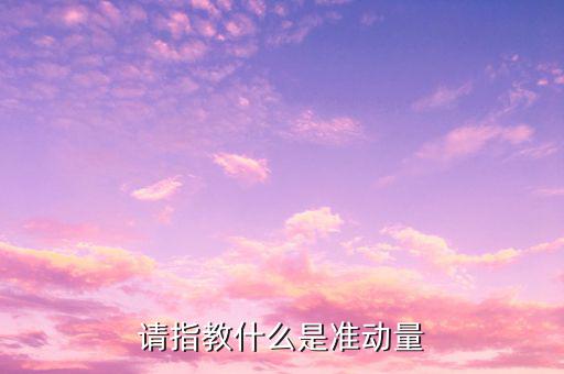 請指教什么是準(zhǔn)動量