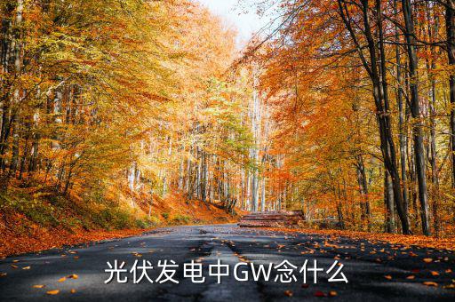 光伏gw是什么意思，wg在光伏發(fā)電里是什么意思