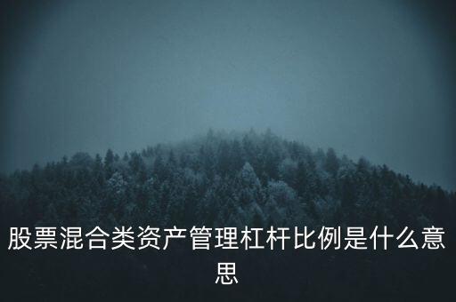 股票混合類資產(chǎn)管理杠桿比例是什么意思