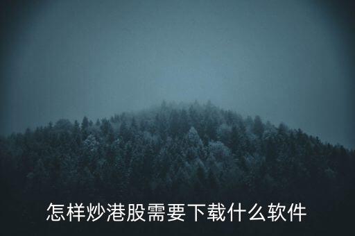 港股資金進(jìn)出用什么軟件，現(xiàn)在內(nèi)地的炒股滬港通用什么軟件