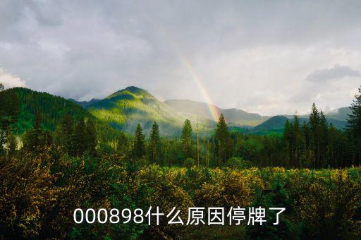 華資實(shí)業(yè)為什么停牌，000009今天為何停牌