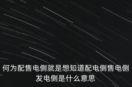 什么是發(fā)電側(cè)，發(fā)電側(cè)和變電側(cè)的側(cè)是什么意思啊