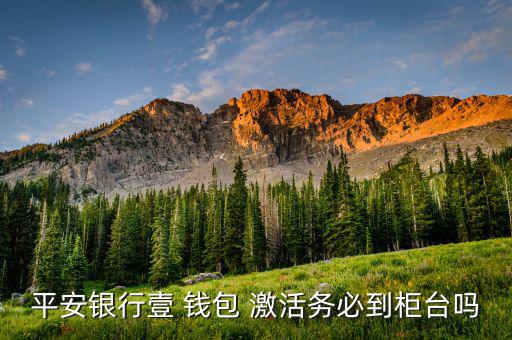 壹錢(qián)包怎么激活,一錢(qián)包是基金嗎?可以轉(zhuǎn)賬嗎?