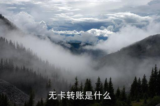 什么是無卡轉(zhuǎn)賬，什么叫無卡轉(zhuǎn)賬