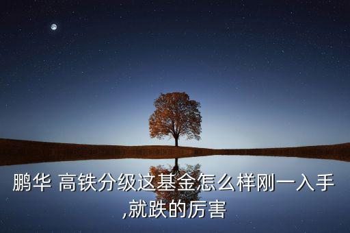 高鐵b股票怎么樣,華鵬高鐵a份額為穩(wěn)定收益份額