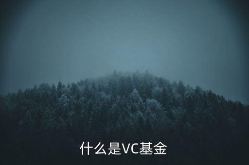 vc基金是什么，什么叫VC基金