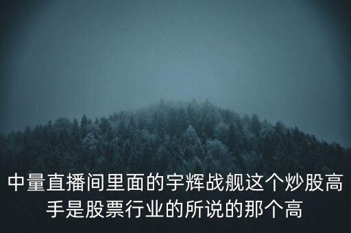 中量直播間里面的宇輝戰(zhàn)艦這個(gè)炒股高手是股票行業(yè)的所說的那個(gè)高