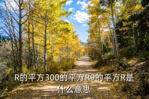 R的平方300的平方R9的平方R是什么意思