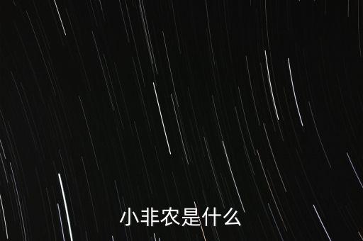 小非農(nóng)是什么