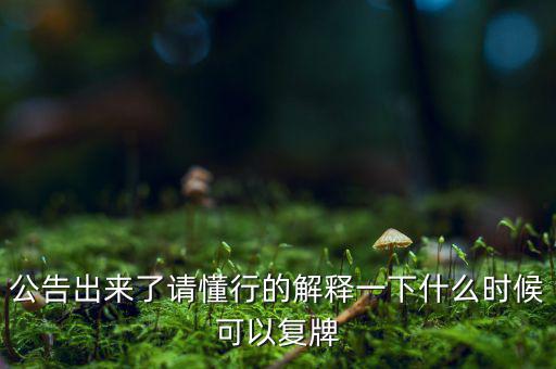 公告出來了請懂行的解釋一下什么時候可以復(fù)牌