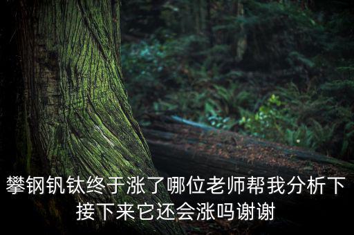 攀鋼釩鈦終于漲了哪位老師幫我分析下接下來(lái)它還會(huì)漲嗎謝謝