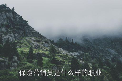 保險(xiǎn)營銷員是什么樣的職業(yè)