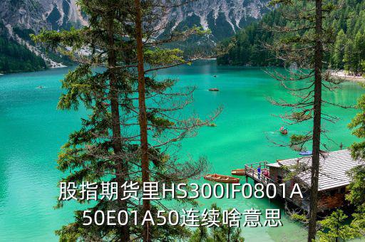 什么是hs300板塊，HS300是什么期貨合約