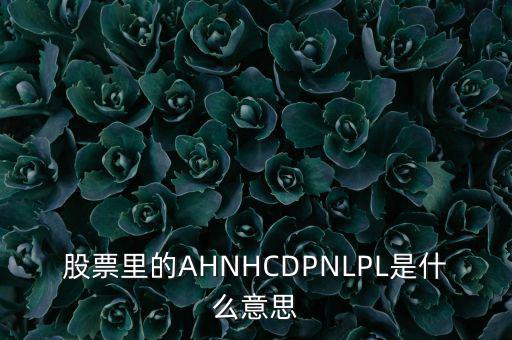 股票nl是什么意思，股票里的AHNHCDPNLPL是什么意思