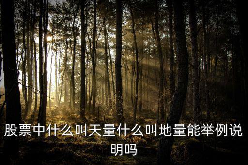 股票中什么叫天量什么叫地量能舉例說(shuō)明嗎