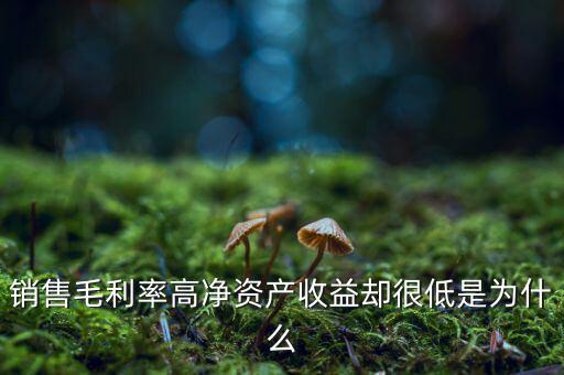 銷售毛利率高凈資產(chǎn)收益卻很低是為什么