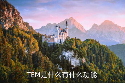 TEM是什么有什么功能