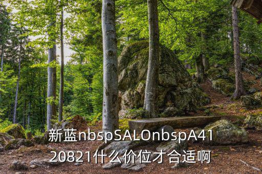 久遠(yuǎn)銀海什么價(jià)位才賣，新藍(lán)nbspSALOnbspA4120821什么價(jià)位才合適啊