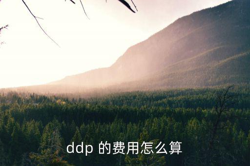 hmf是什么費(fèi)用，請問DEMDDF是什么費(fèi)用