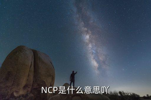 NCP是什么意思吖