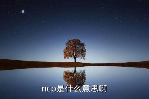 ncp是什么意思啊