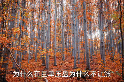 為什么在巨單壓盤(pán)為什么不讓漲