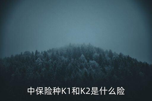 中保險種K1和K2是什么險