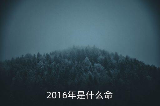 2016年是什么命