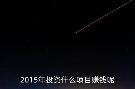 2015年投資什么項目賺錢呢