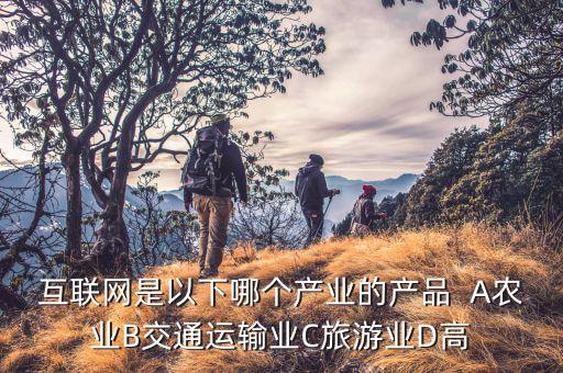 互聯(lián)網(wǎng)是以下哪個(gè)產(chǎn)業(yè)的產(chǎn)品  A農(nóng)業(yè)B交通運(yùn)輸業(yè)C旅游業(yè)D高