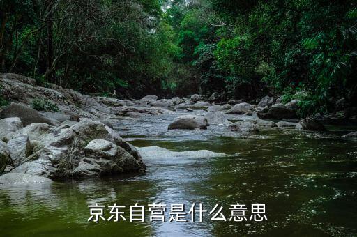 京東自營是什么意思