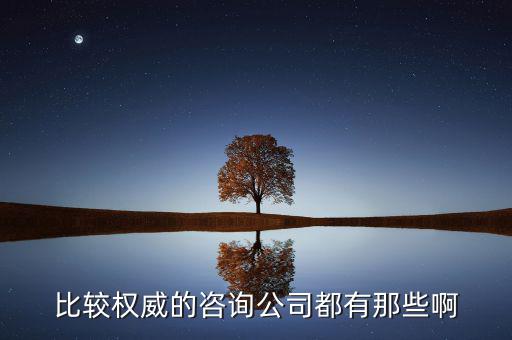 艾瑞和易觀是什么公司，易觀國際有幾個子公司