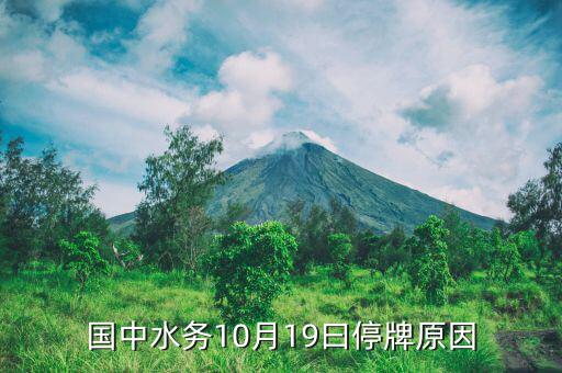 2015年10月江蘇索普為什么停牌，國中水務(wù)10月19曰停牌原因