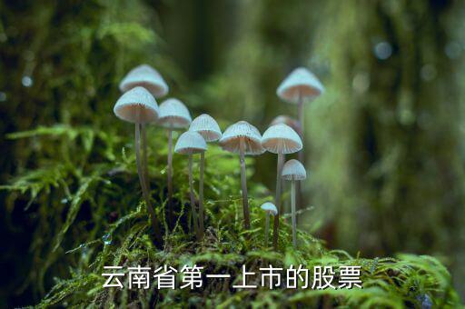 沃森生物是什么股，業(yè)績巨虧的沃森生物為什么股價那么高