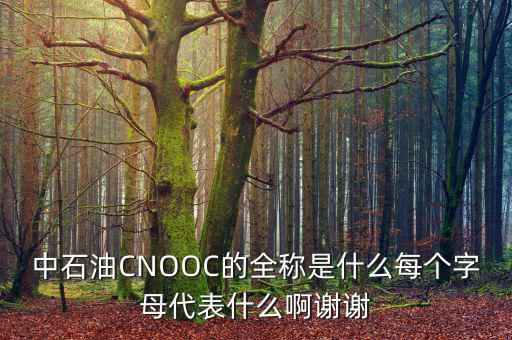 中石油CNOOC的全稱是什么每個(gè)字母代表什么啊謝謝