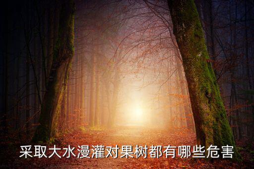 廣西地區(qū)大水漫灌導(dǎo)致什么，在干旱半干旱地區(qū)采取大水漫灌的灌溉方式可能會導(dǎo)致土地鹽漬化