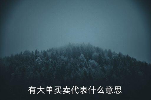 在買5成交有大單是什么意思，股票中大單是什么意思