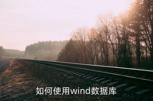 如何使用wind數(shù)據(jù)庫