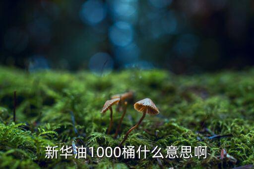 新華油1000桶什么意思啊