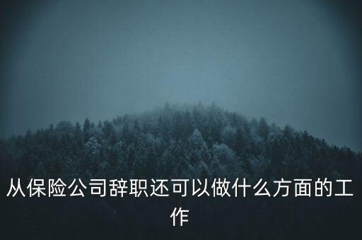 從保險公司辭職還可以做什么方面的工作