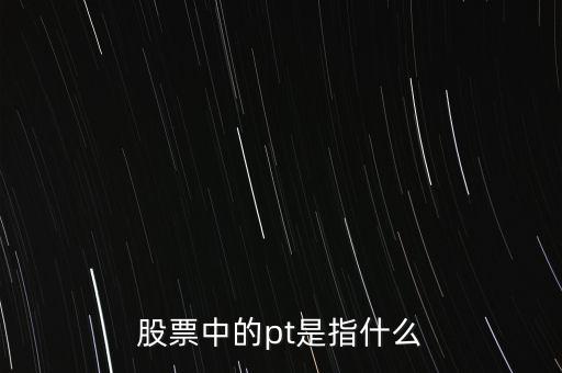 股票中的pt是指什么