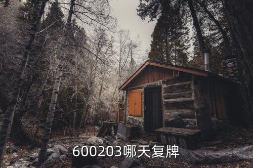 600203哪天復牌