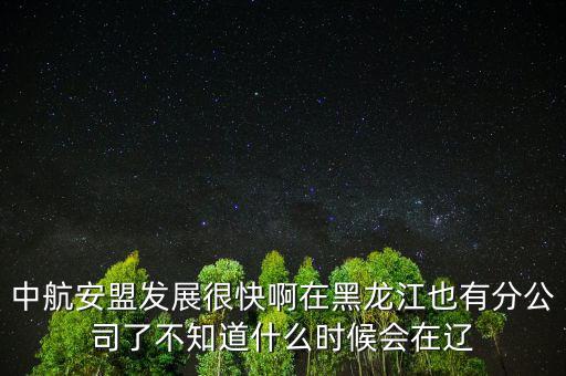 中航安盟發(fā)展很快啊在黑龍江也有分公司了不知道什么時(shí)候會(huì)在遼